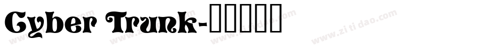 Cyber Trunk字体转换